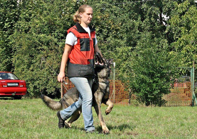 Kebtanoda Kutya Sport Egyesület (KEKSE) Szentesi Iskolája (Köröstoroki Ebtanoda Szentes) - Szentes