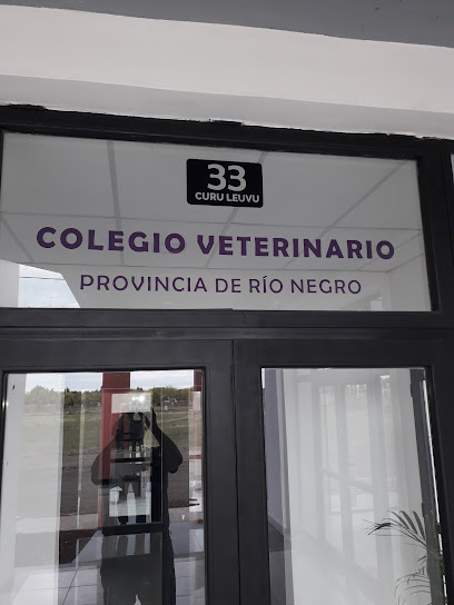 Colegio Veterinario