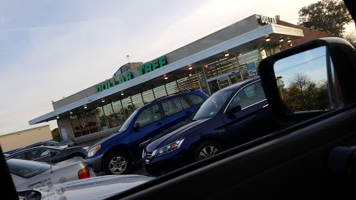 Dollar Store «Dollar Tree», reviews and photos, 1725 Dutch Broadway, Elmont, NY 11003, USA