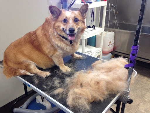 Bluffton Veterinary Hospital & Pet Care Center