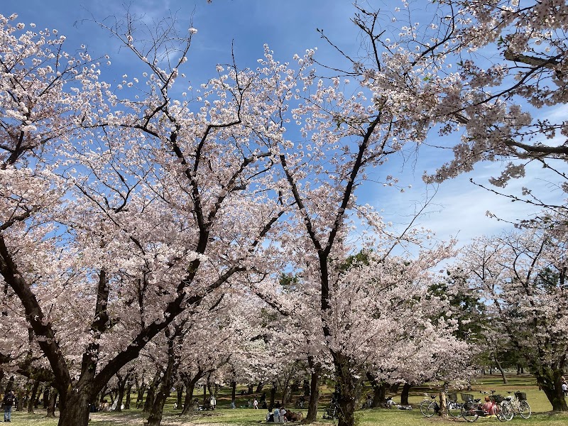 浜寺公園