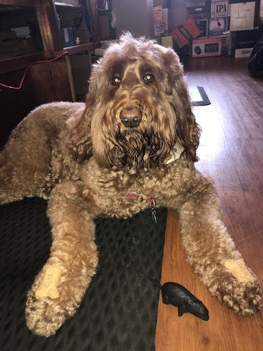 Wine Store «Red Dog Wine & Spirits», reviews and photos, 1031 Riverside Dr, Franklin, TN 37064, USA