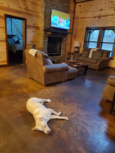 Pet Supply Store «PetSmart», reviews and photos, 1451 Dallas Hwy, Waxahachie, TX 75165, USA