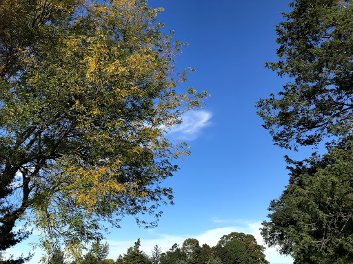 Golf Course «Crab Meadow Golf Course», reviews and photos, 220 Waterside Rd, Northport, NY 11768, USA