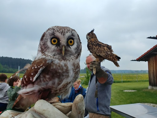 Greifvogelauffangstation Otterfing unter Otterfing, Bayern