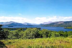 Loch Lomond National Nature Reserve (Inchcailloch) image