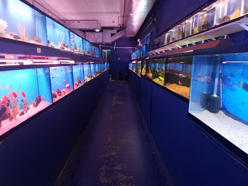 Tropical Fish Store «Tropi-Quatics Pet Center», reviews and photos, 337 S Main St, Lombard, IL 60148, USA