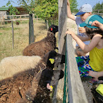 Photo n° 1 de l'avis de Aurelie.a fait le 14/08/2021 à 12:41 pour Ferme Le Vallon des Rêves à Labéjan