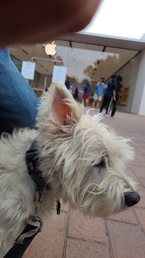 Computer Store «Apple Irvine Spectrum Center», reviews and photos, 763 Spectrum Center Dr, Irvine, CA 92618, USA