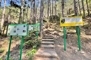 Goritsa Ecotrail image