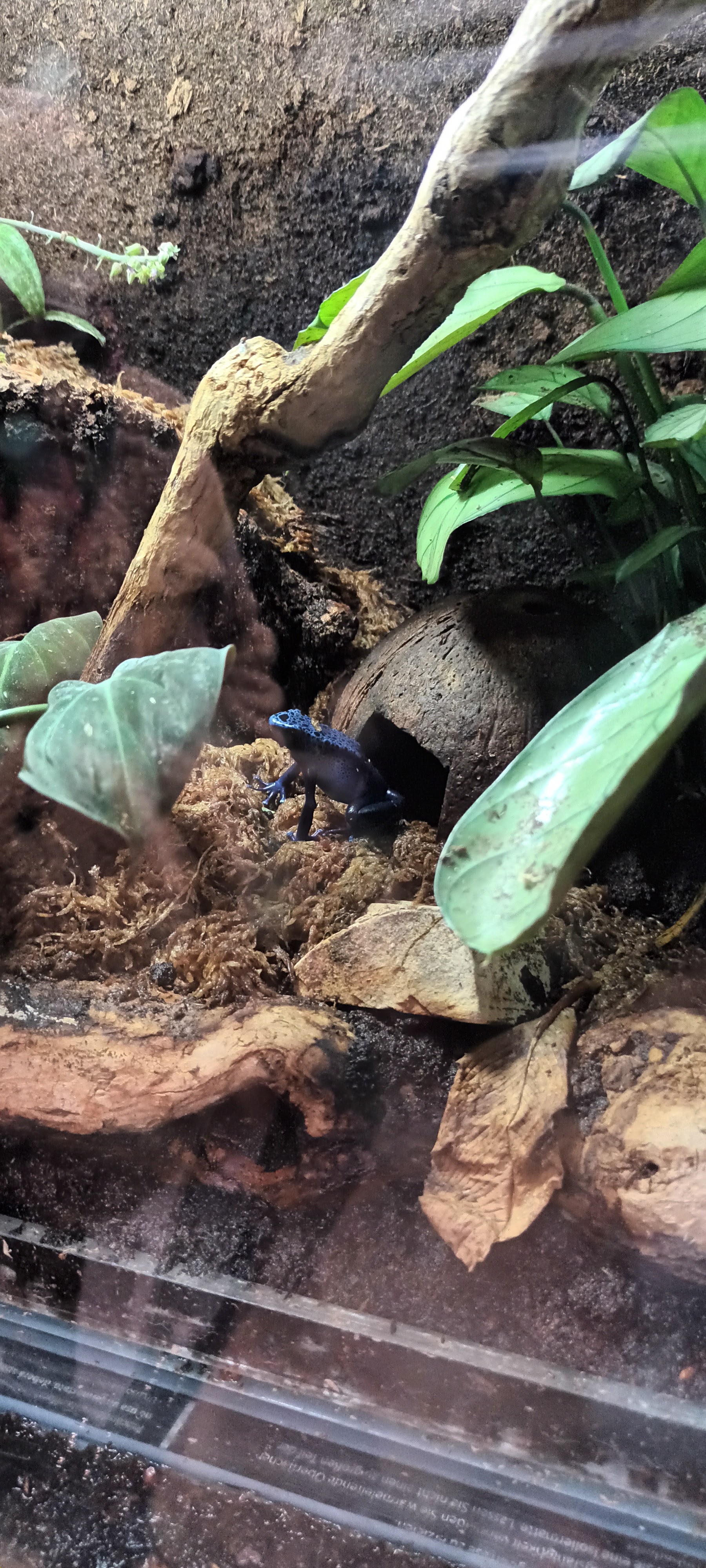 Photo n° 2 de l'avis de Audrey.e fait le 02/03/2022 à 18:32