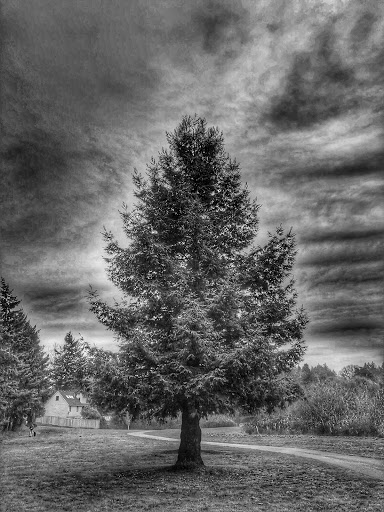 Park «Commonwealth Lake Park», reviews and photos, SW Butner Rd & SW Huntington Ave, Cedar Hills, OR 97225, USA