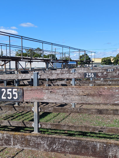 Toowoomba Saleyards