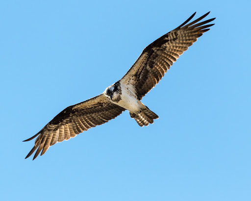 Nature Preserve «LLELA Nature Preserve», reviews and photos, 201 E Jones St, Lewisville, TX 75057, USA