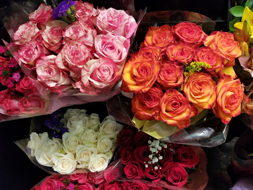 Grocery Store «Food Lion», reviews and photos, 1328 Armory Dr, Franklin, VA 23851, USA