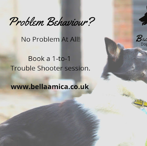 Bella Amica Dog School - Dog trainer