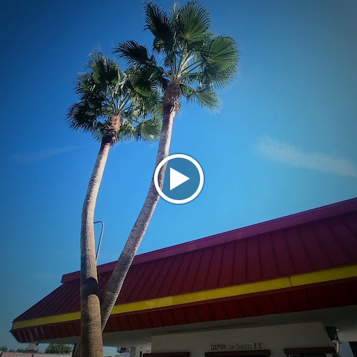 In-N-Out Burger image
