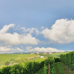 Photo n°2 de l'avis de Marc.a fait le 05/08/2020 à 13:23 sur le  Camping Sole Langhe à Vergne