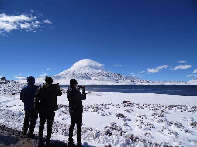 Suma Inti Viajes Tour Arica Lago Chungara