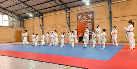 karate sensei Garrido Talca