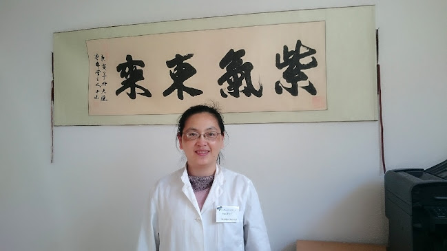 Praxis für Chinesische Medizin Brugg - Akupunkteur
