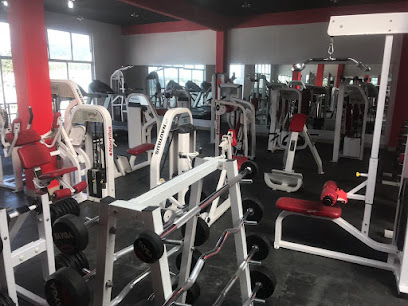 FITNESS HOUSE GYM