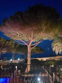 Photos des visiteurs du Restaurant Villa Les Glycines à Roquebrune-sur-Argens - n°14