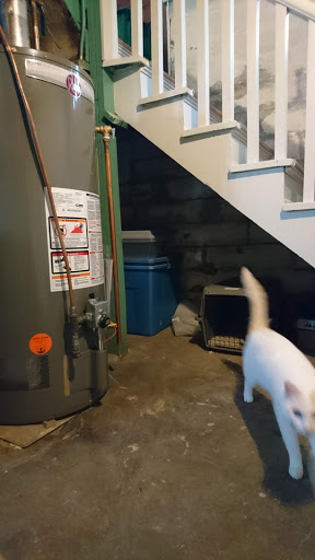 Plumber «Weld & Sons Plumbing», reviews and photos, 3410 Kilmer Ln N, Plymouth, MN 55441, USA