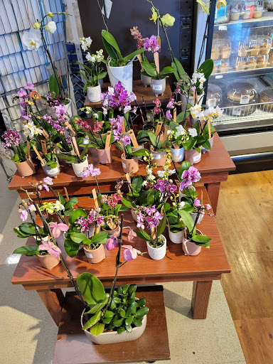 Grocery Store «Kroger Fresh Fare», reviews and photos, 4099 Telegraph Rd, Bloomfield Hills, MI 48302, USA