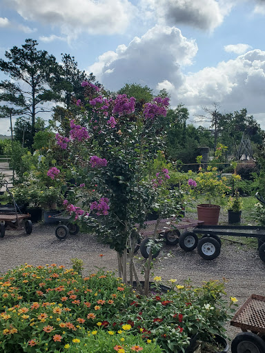 Plant Nursery «HOUSTON PLANTS & GARDEN WORLD», reviews and photos, 16726 North Fwy, Houston, TX 77090, USA