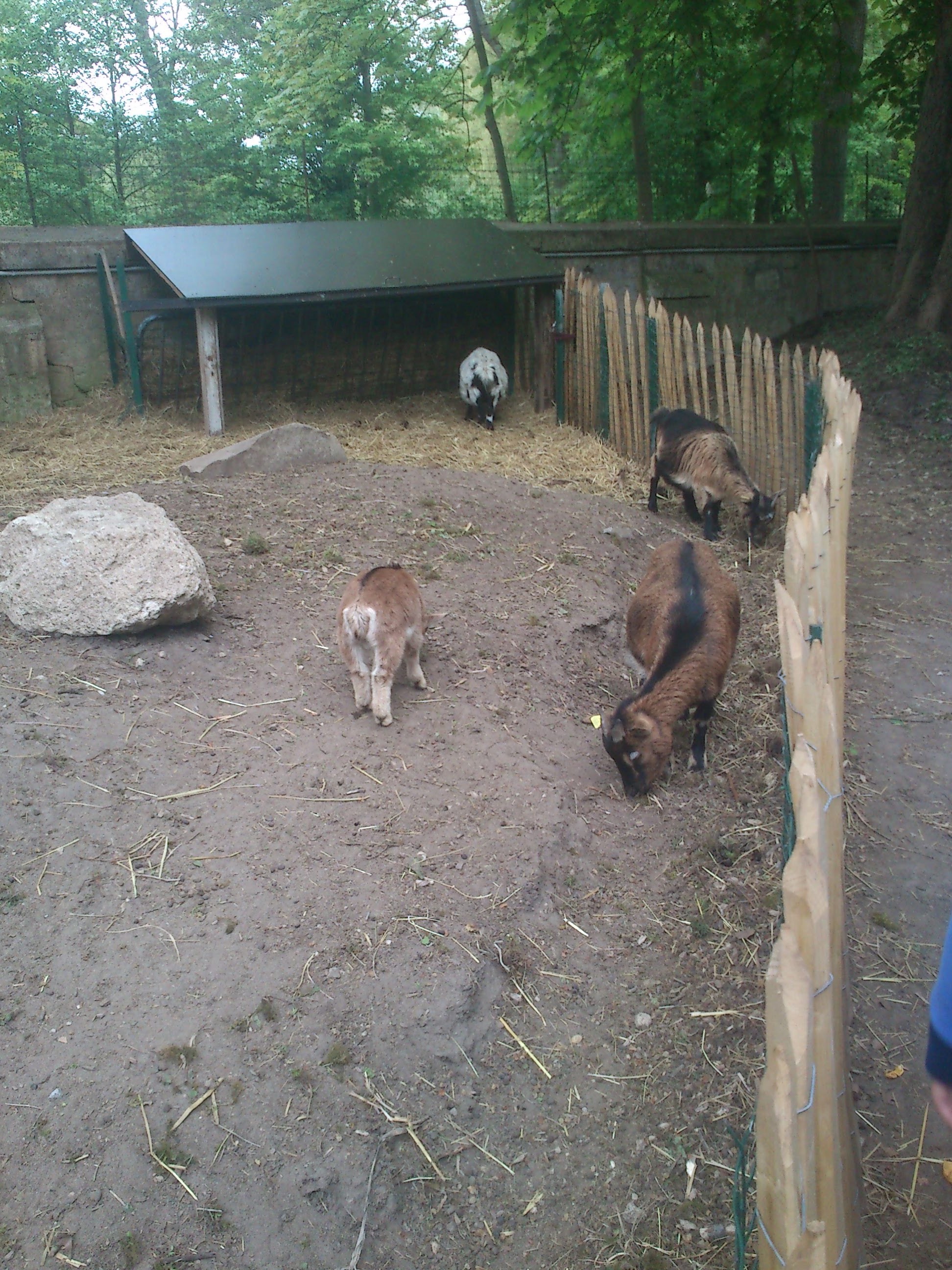 Photo n° 36 de l'avis de Guillaume.A fait le 10/05/2013 à 20:15