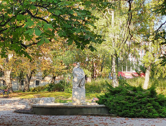 Értékelések erről a helyről: Rippl - Rónai park, Kaposvár - Múzeum