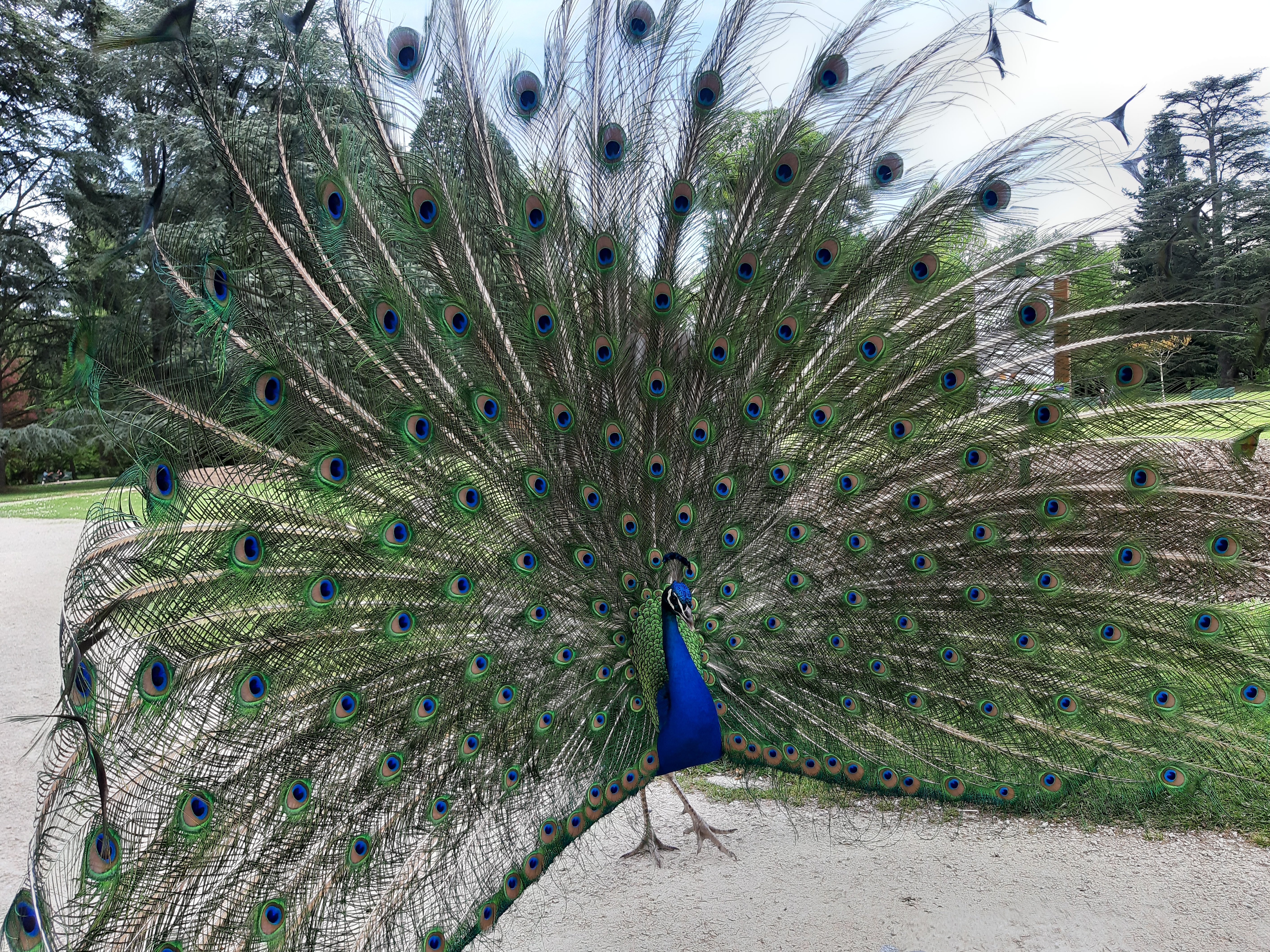 Photo n° 11 de l'avis de Alexandre.o fait le 30/04/2018 à 13:37