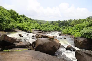 Gundiadka (Nagundi) Falls image