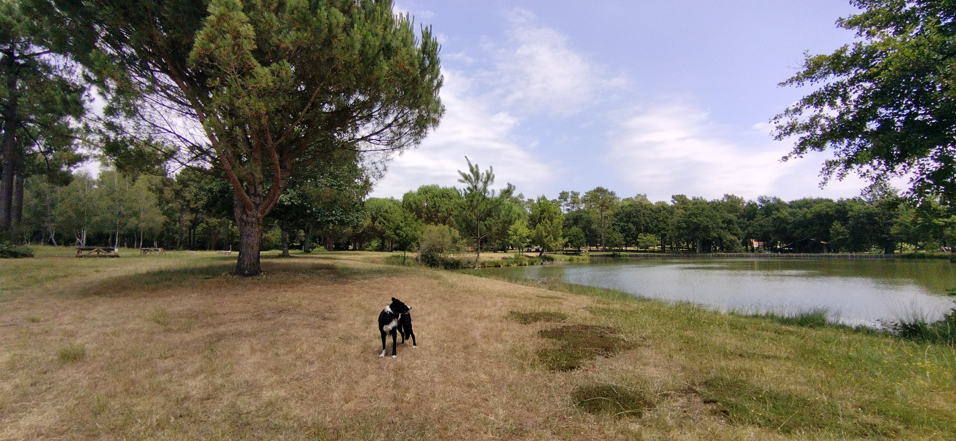 Photo n° 6 de l'avis de Marylise. fait le 17/07/2023 à 15:09