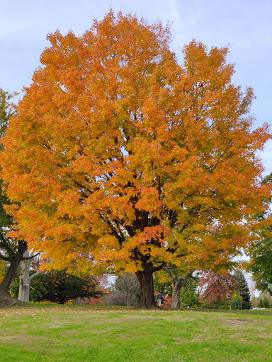 Park «Glen Island Park», reviews and photos, Weyman Ave, New Rochelle, NY 10805, USA