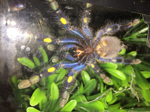 Pet Store «Critter Hut Aquarium & Pets», reviews and photos, 6637 Post Rd, North Kingstown, RI 02852, USA