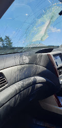 Instant Windscreens Auckland North - Repair & Tinting