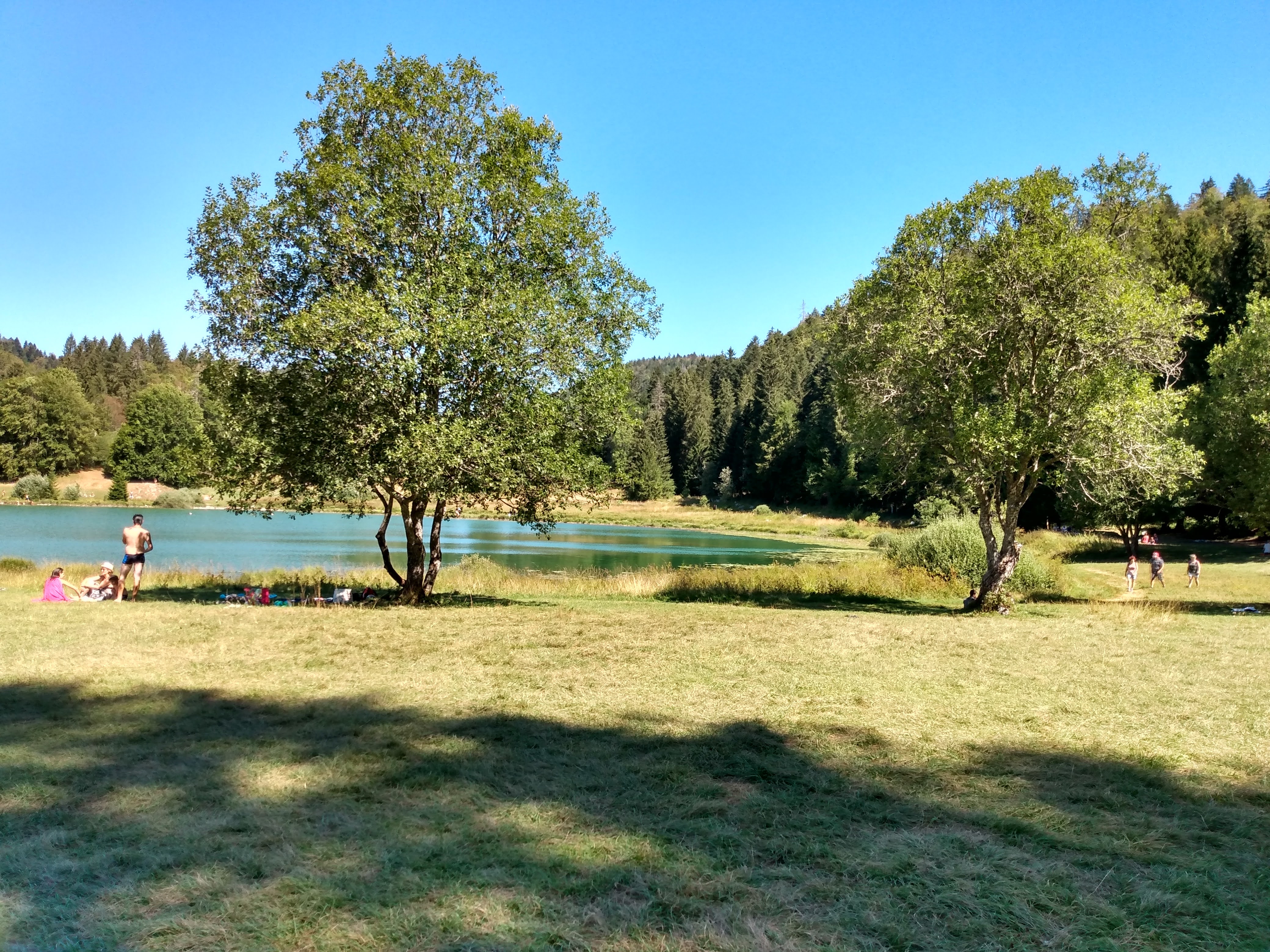 Photo n° 1 de l'avis de Philippe.a fait le 21/08/2020 à 04:46