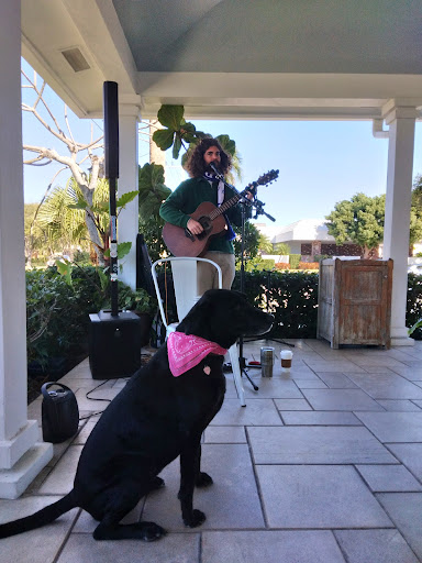 Coffee Shop «Perk Coffee House», reviews and photos, 384 Tequesta Dr, Tequesta, FL 33469, USA