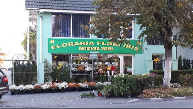 Floraria Flori Iris - Florărie