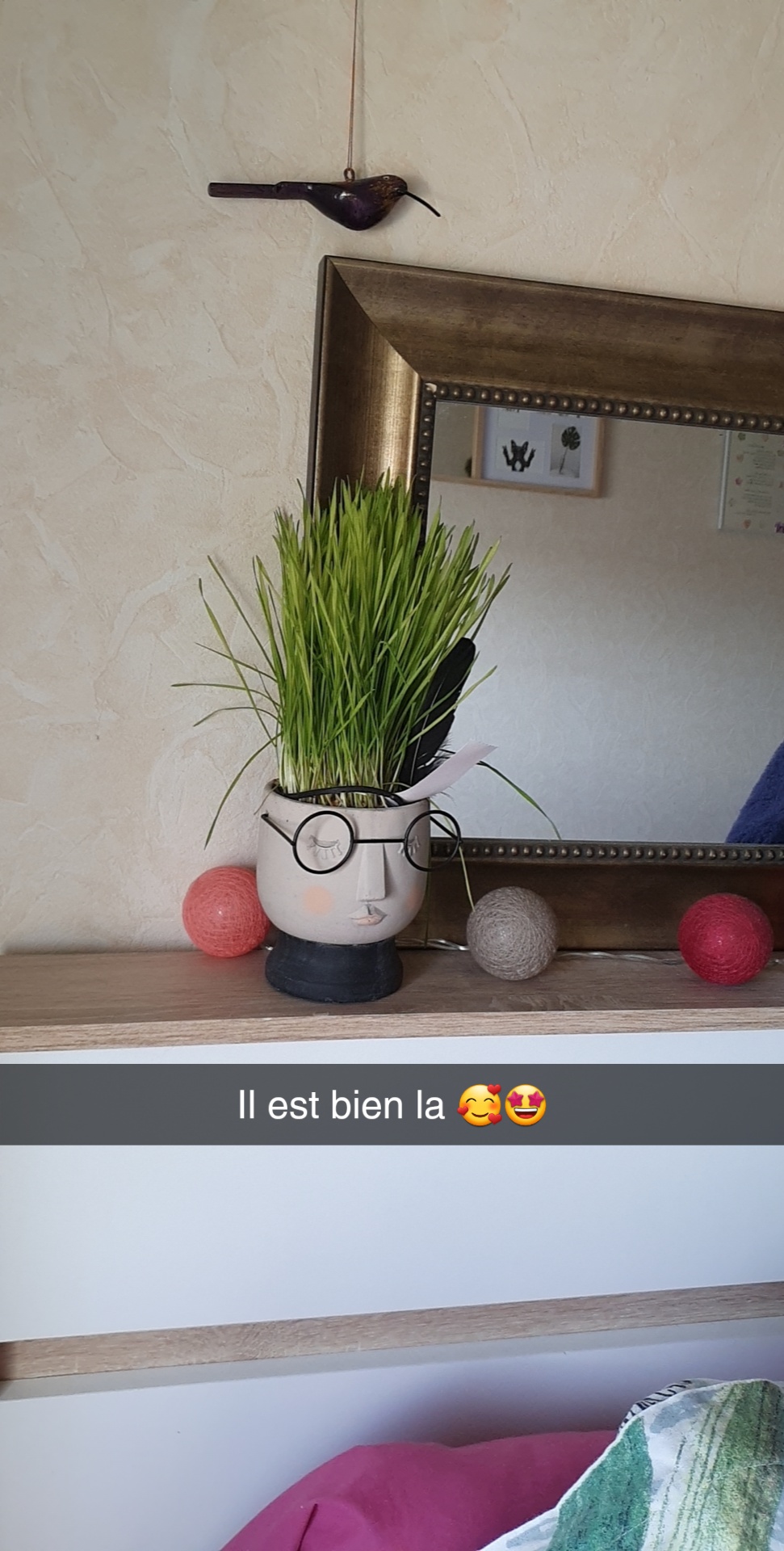 Photo n° 2 de l'avis de Orianne.e fait le 31/05/2022 à 17:22