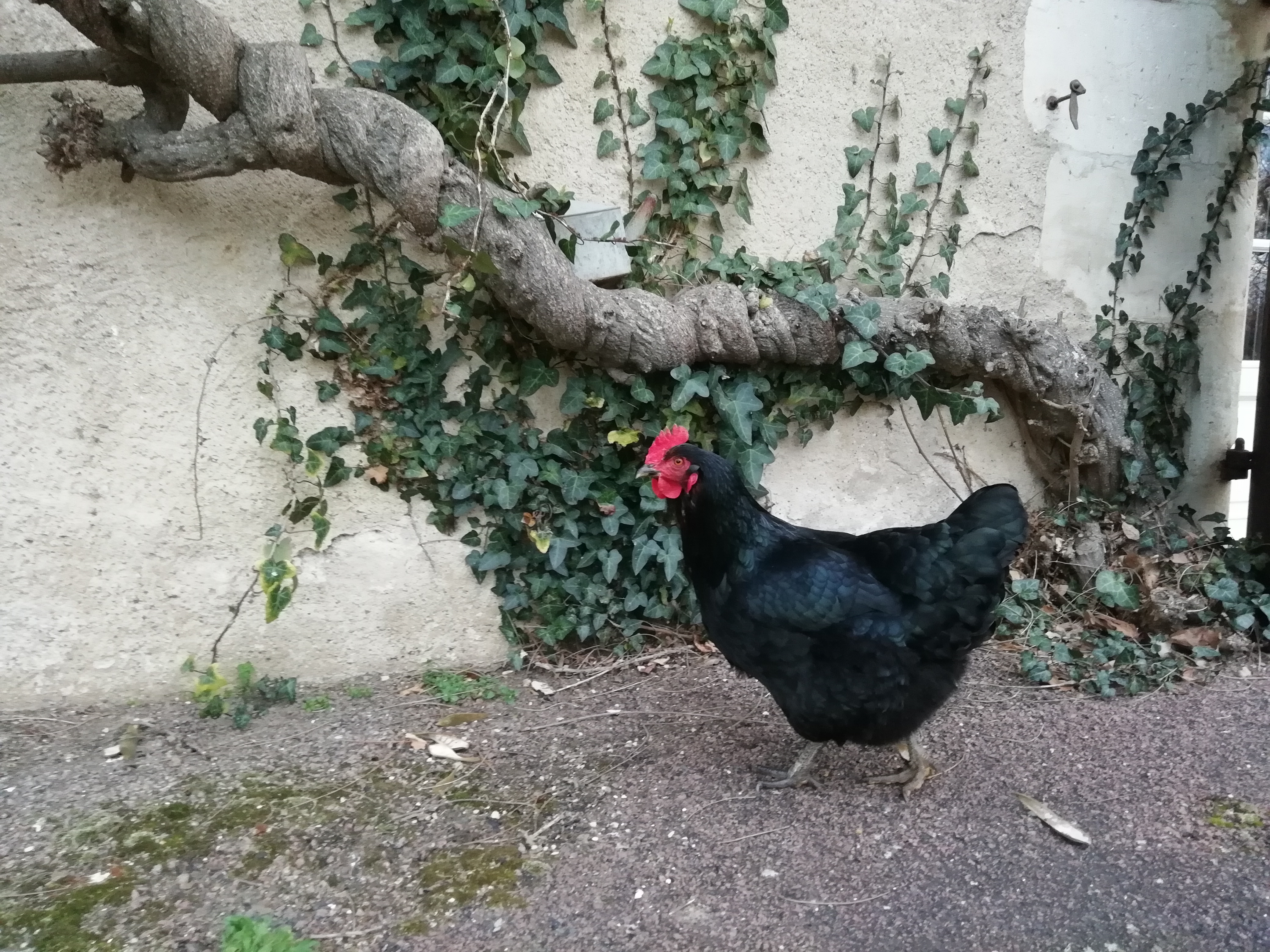 Photo n° 4 de l'avis de Marie.u fait le 08/03/2019 à 09:44