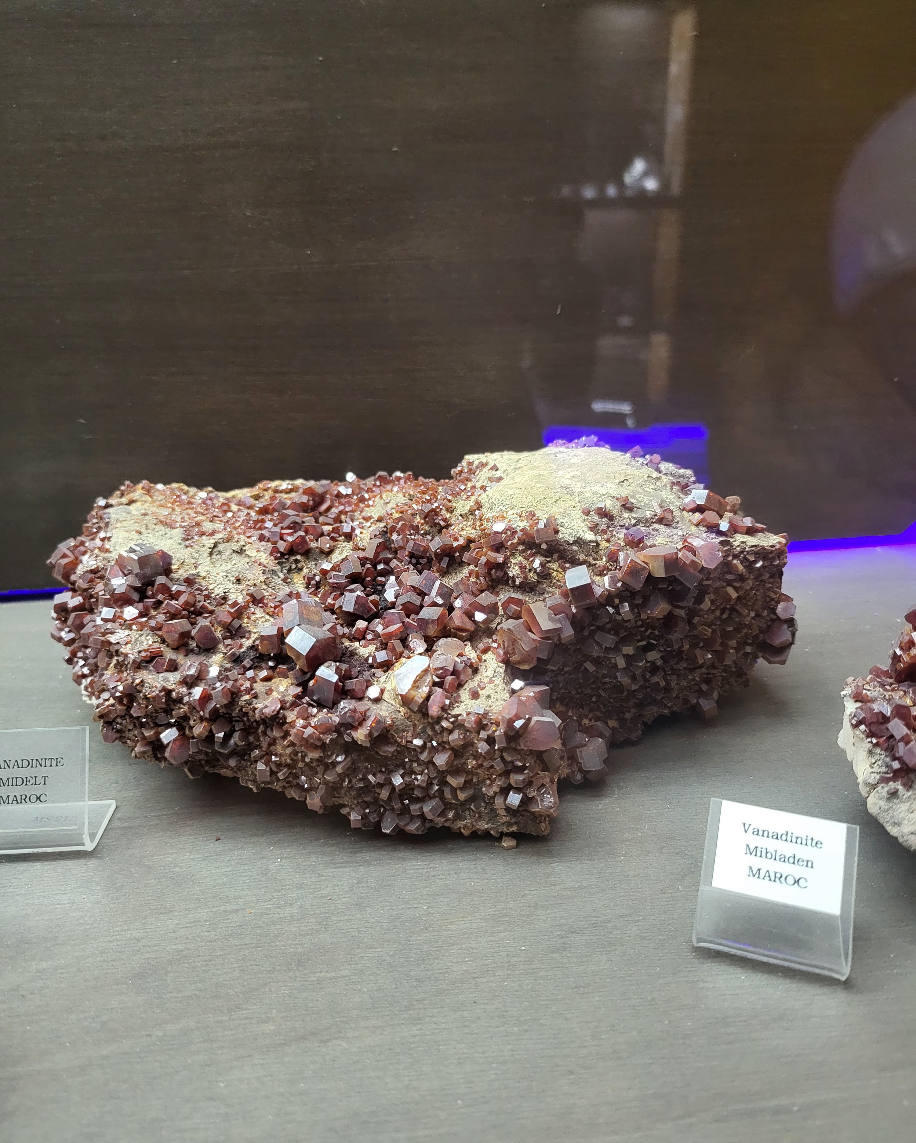 Photo n° 23 de l'avis de ludovic.a fait le 05/08/2023 à 05:51