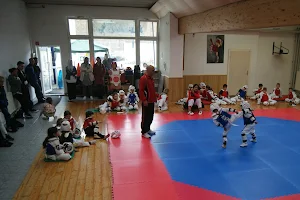 Taekwondo Club Neuss e.V. - Taekwondo/Bewegungserziehung image