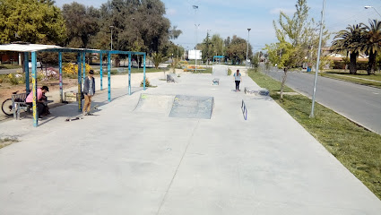 Skatepark La Farfana - La Ruta del Skate