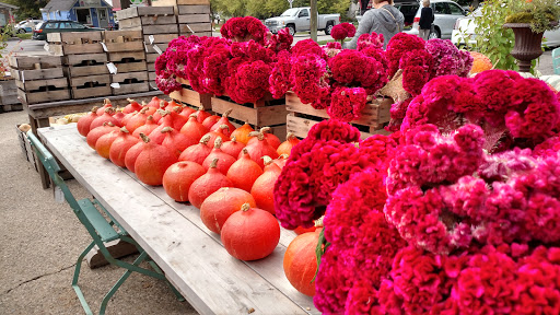 Grocery Store «Locally Grown Gardens», reviews and photos, 1050 E 54th St, Indianapolis, IN 46220, USA