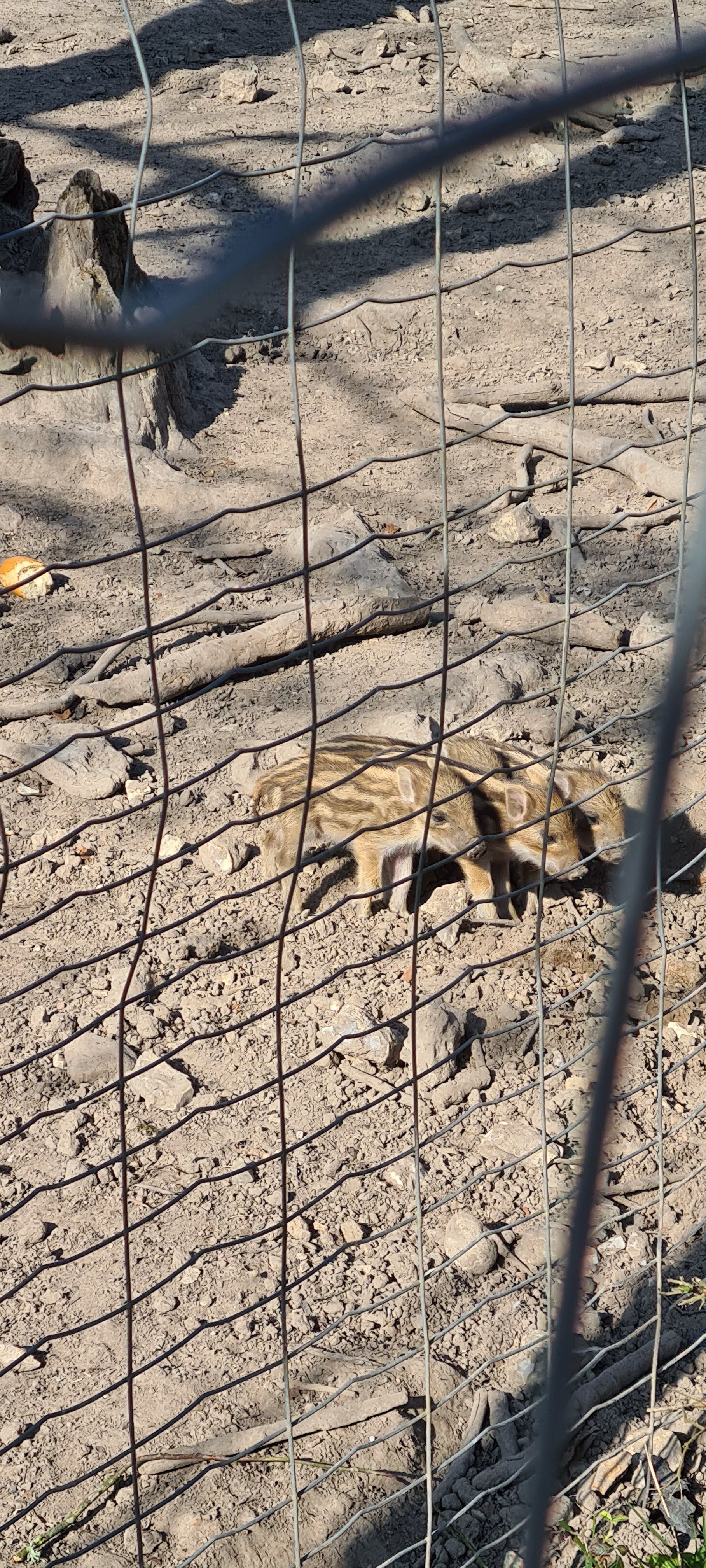 Photo n° 2 de l'avis de Raynald. fait le 27/03/2022 à 15:52