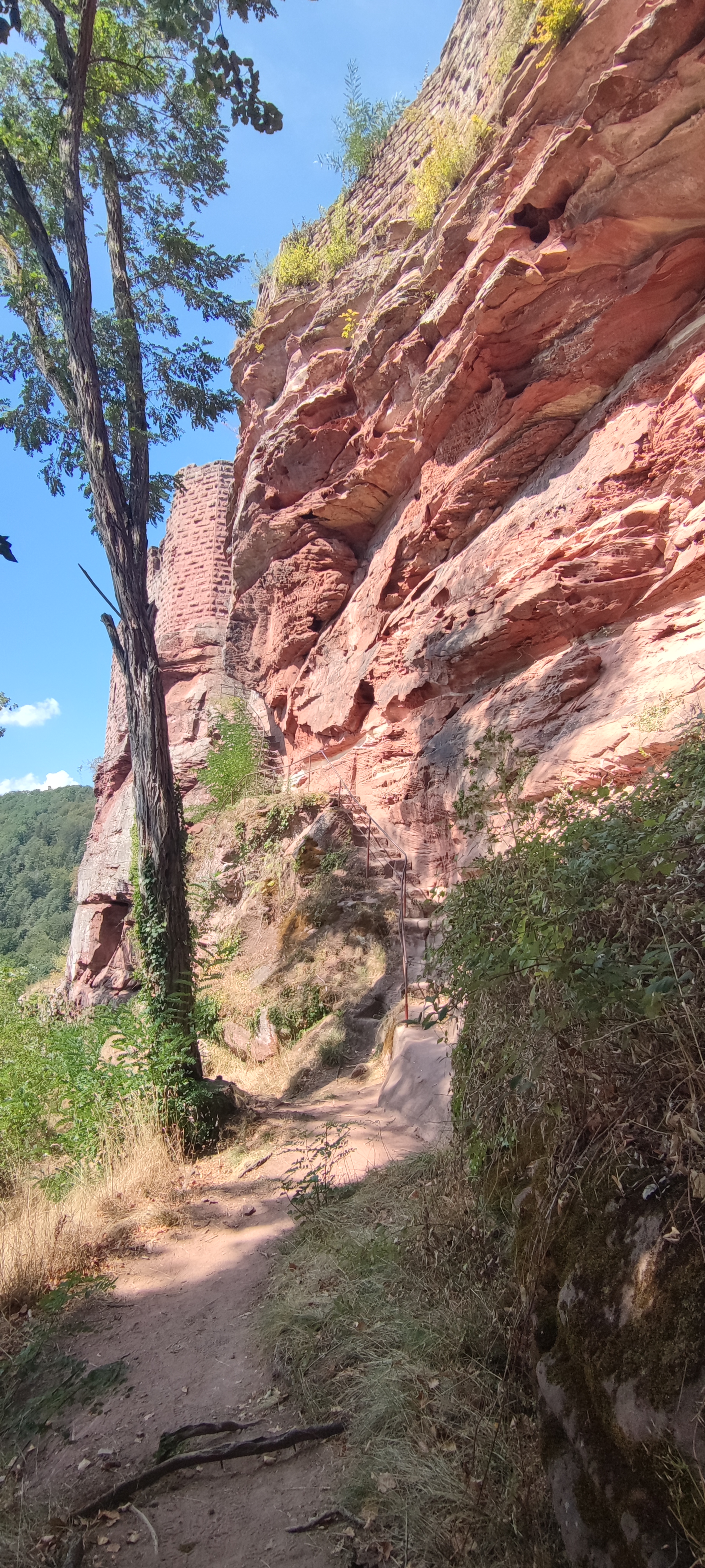 Photo n° 4 de l'avis de Schafi. fait le 03/09/2022 à 16:25