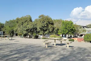 Tariq Market Park image